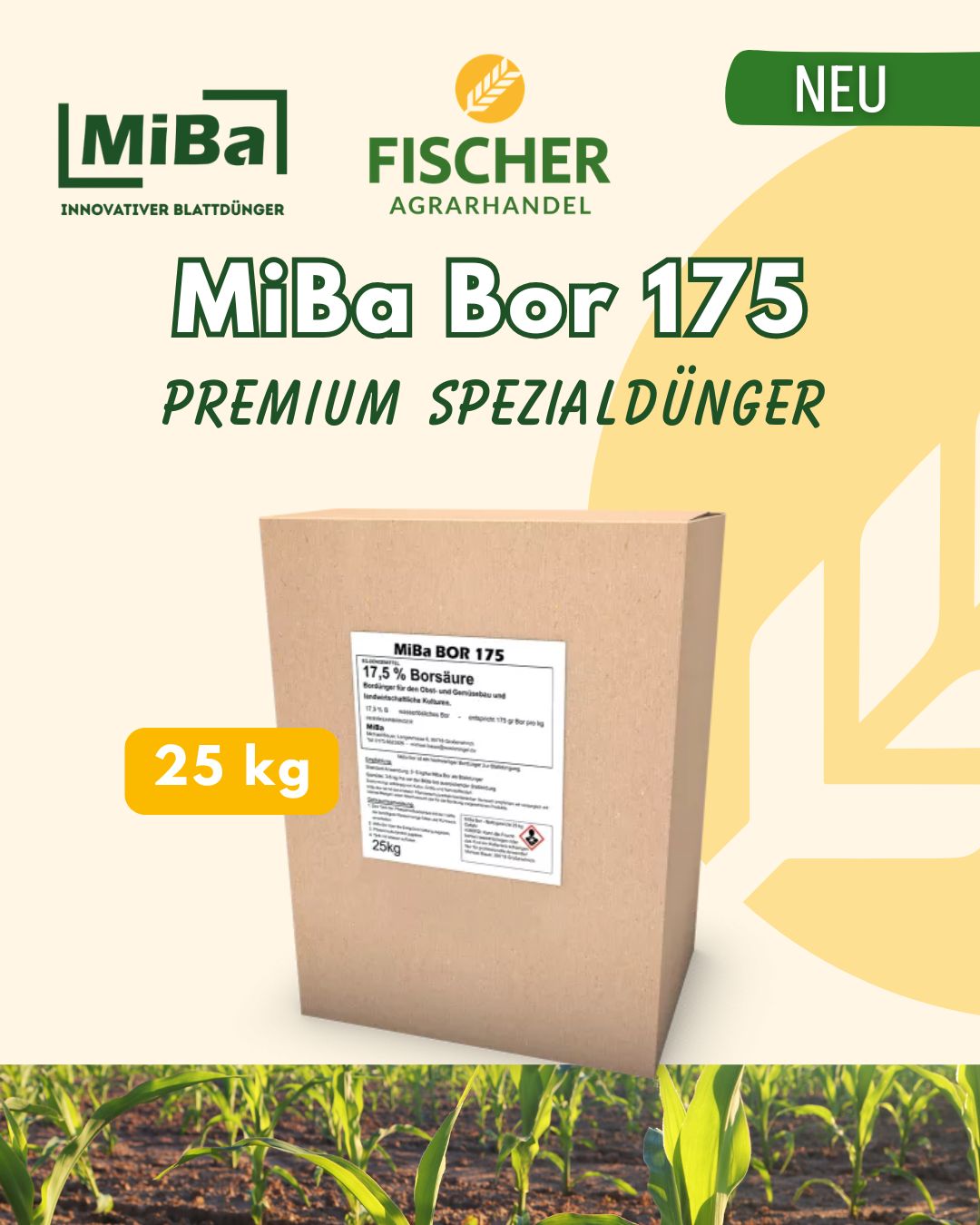 MiBa Bor 175