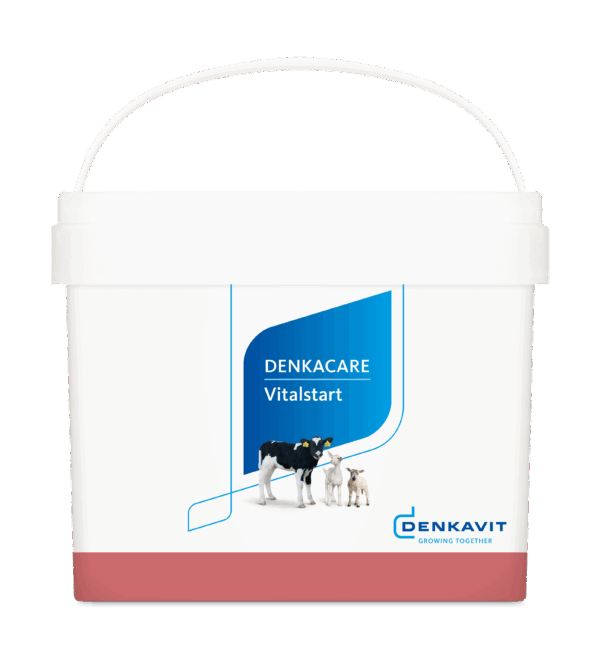 denkavit Vitalstart