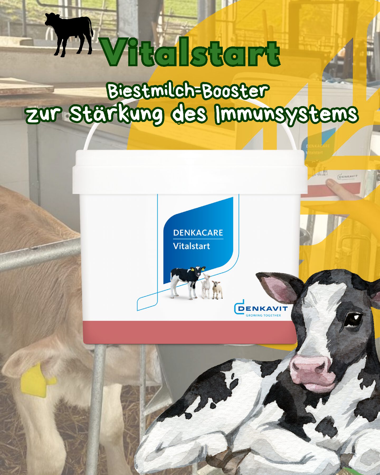 denkavit Vitalstart