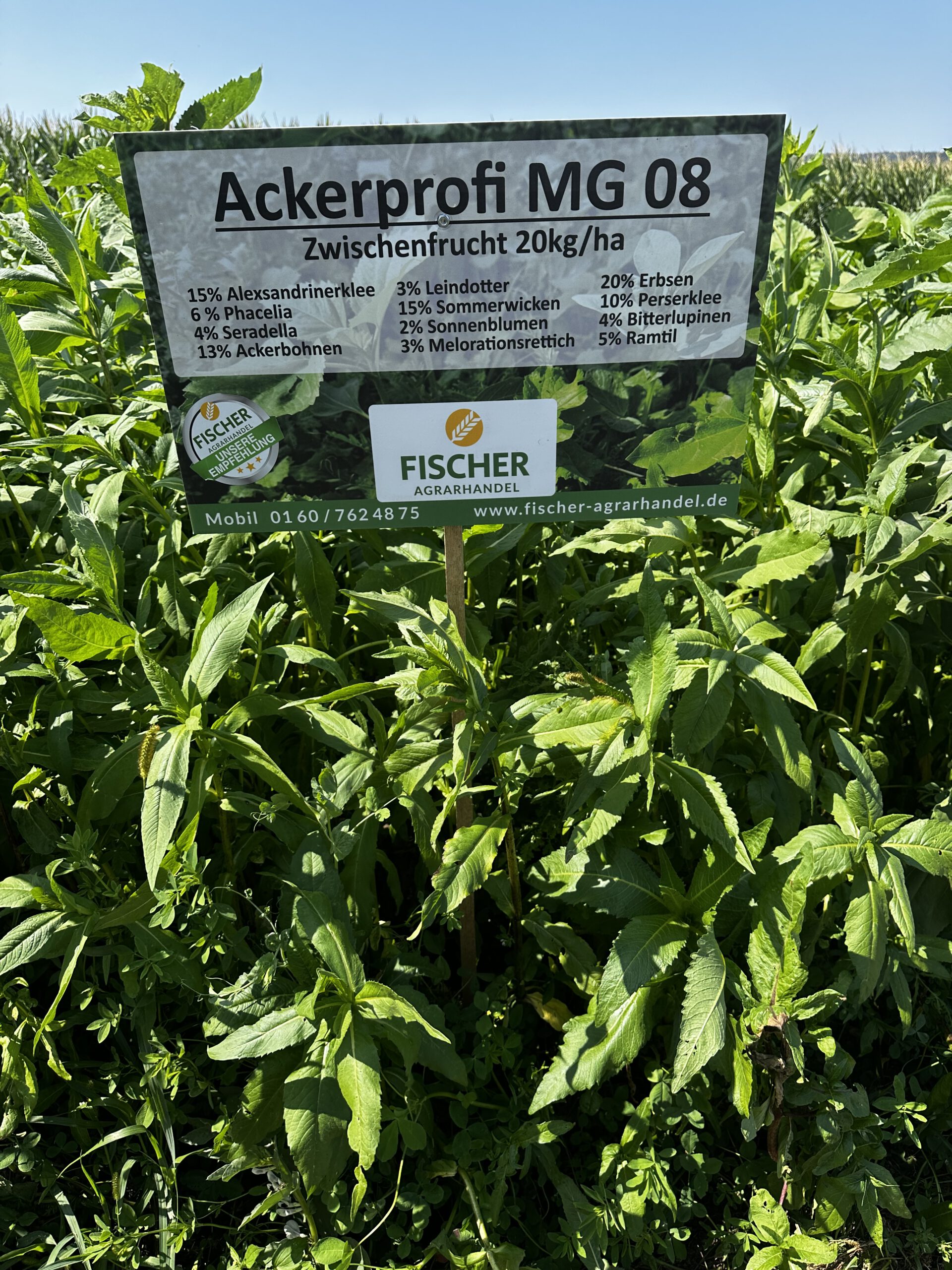 Profi Regeneration PLUS – Bild 2