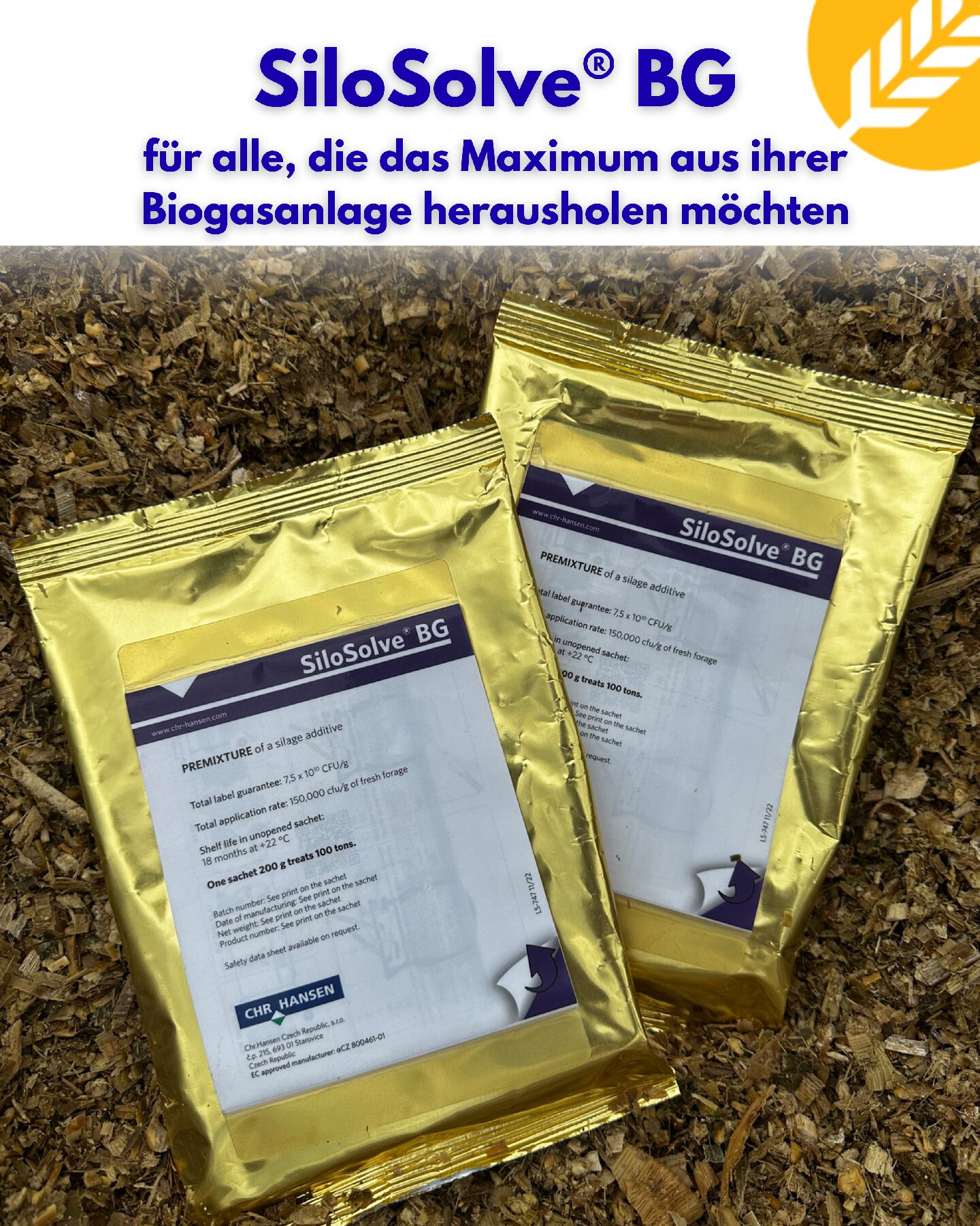 Premium-Siliermittel SiloSolve® BG