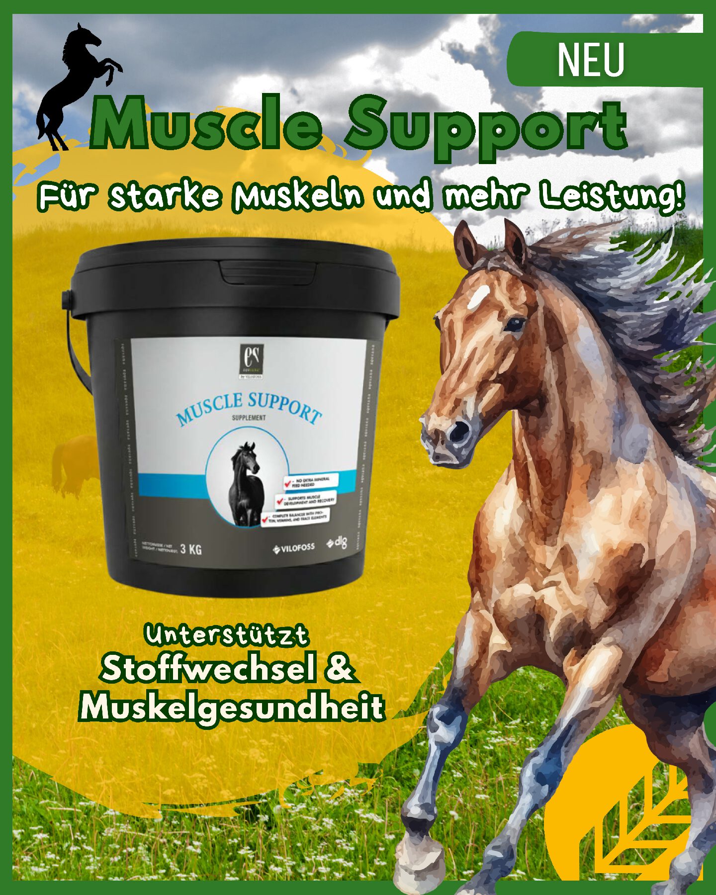 Pferde Muscle Support