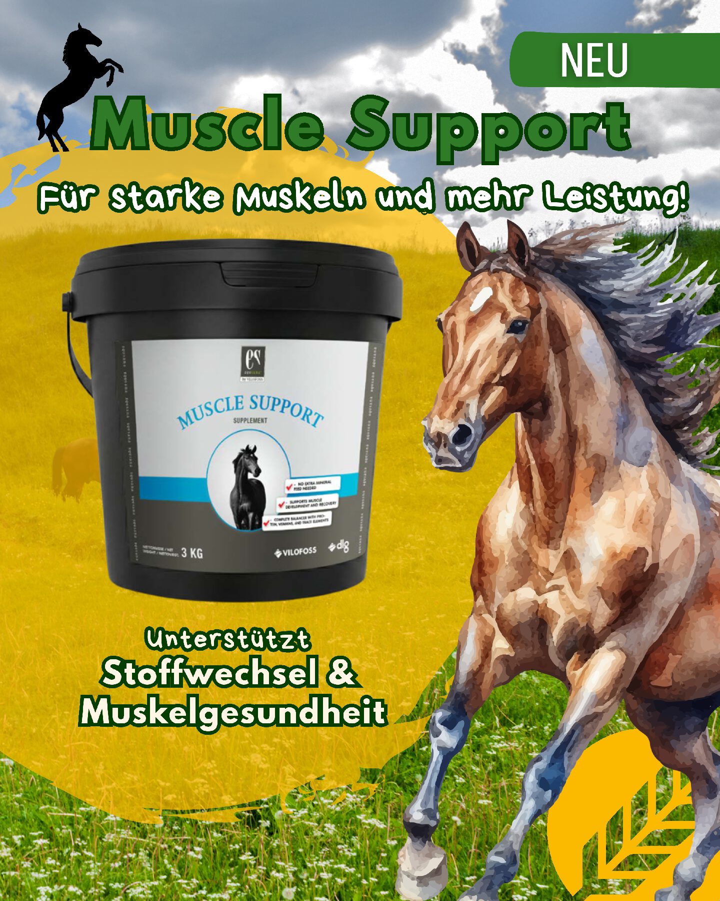 Pferde Muscle Support