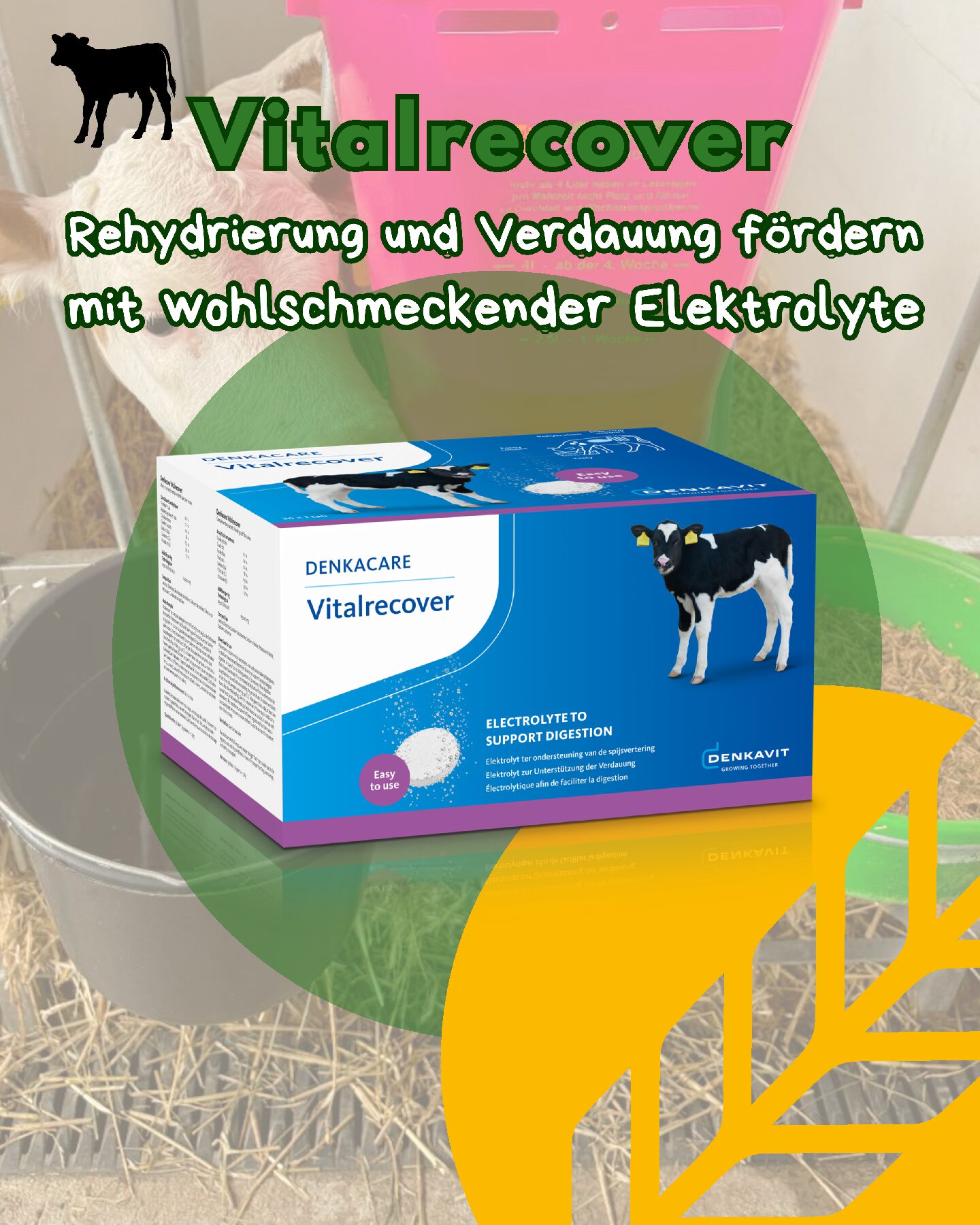 denkavit Vitalrecover